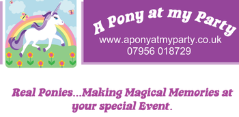 A pony at my party - unicorn hire Unicorn hire London Essex